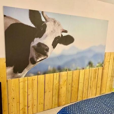 Le Depot Studio Du Petit Port Champvert エクステリア 写真
